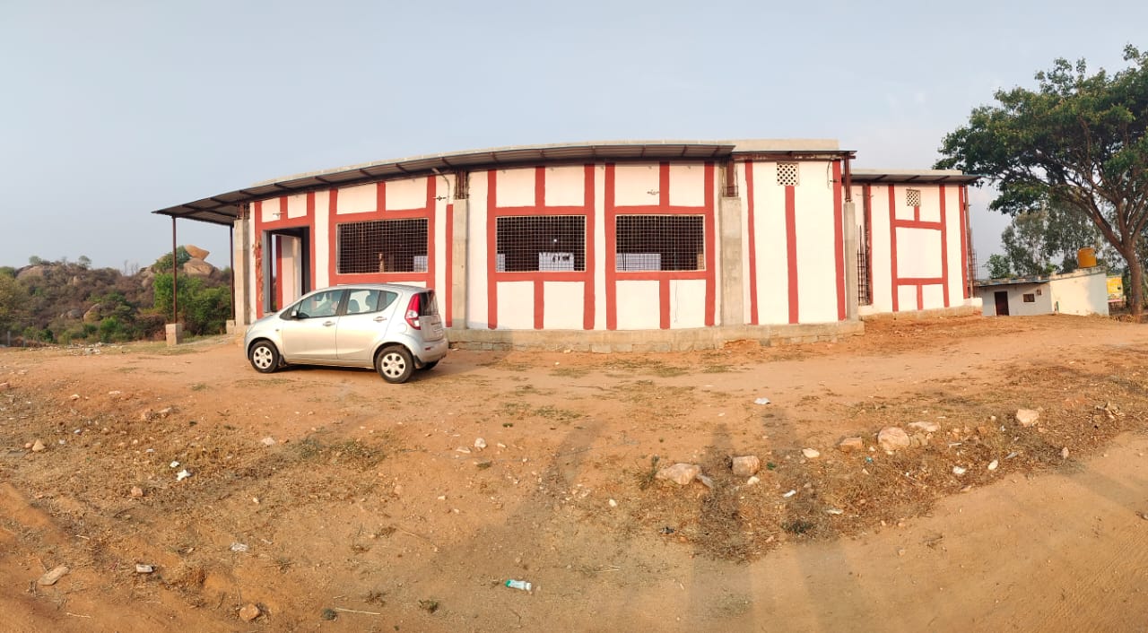 Gallery Photo
